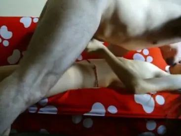 Skandal Prostitusi ABG Jakarta Terekam Jelas 2026